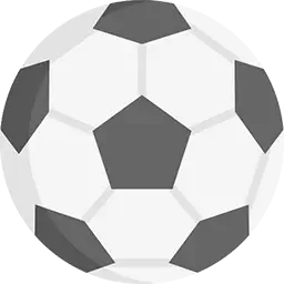 Categoria calcio